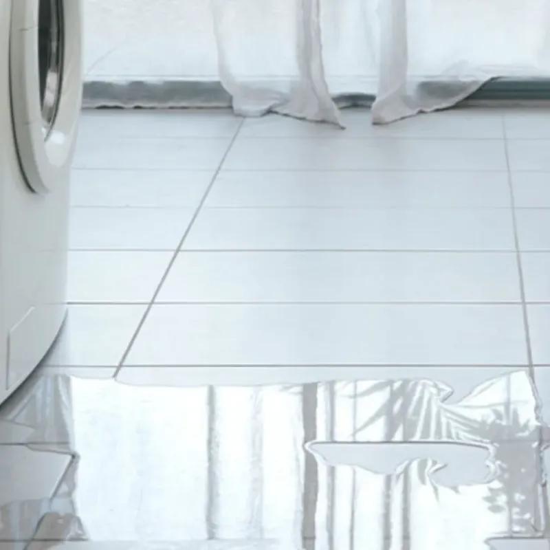 Appliance Leak Cleanup in Pinellas County, FL