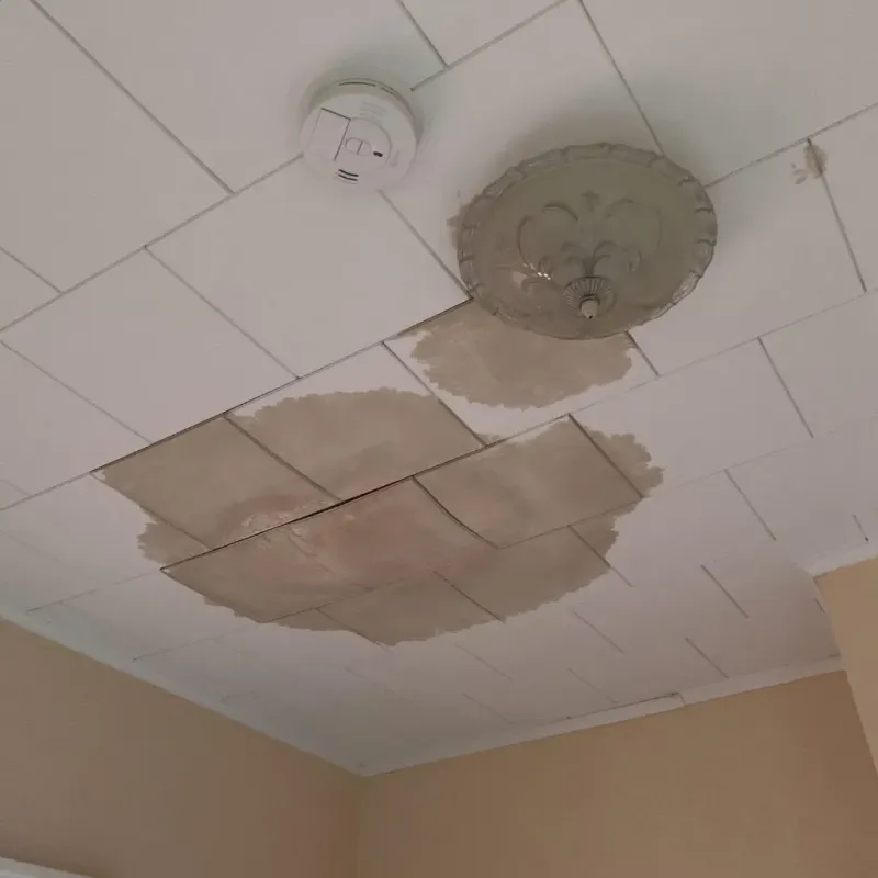 Ceiling Water Damage Repair in Pinellas County, FL