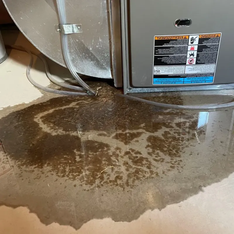 Pipe Burst and Leak Restoration in Pinellas County, FL